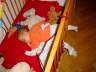 DSC00713.JPG