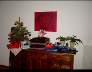 DSC00804.JPG