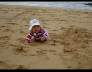 DSC00872.JPG