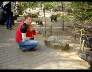 DSC01047.JPG