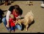 DSC01067.JPG