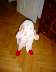 DSC01077.JPG