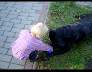 DSC01234.JPG