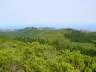 DSC01570.JPG
