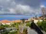DSC01581.JPG